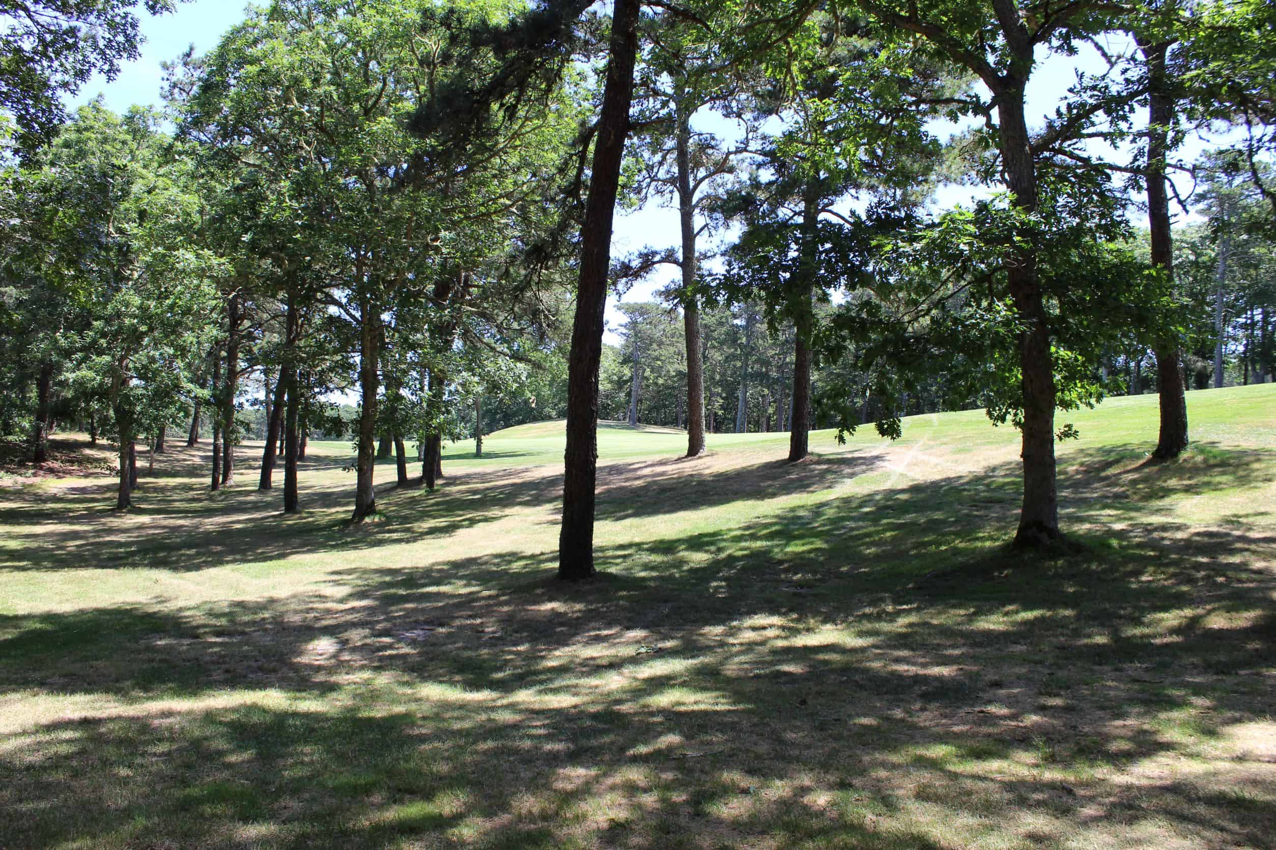 cape cod golfing